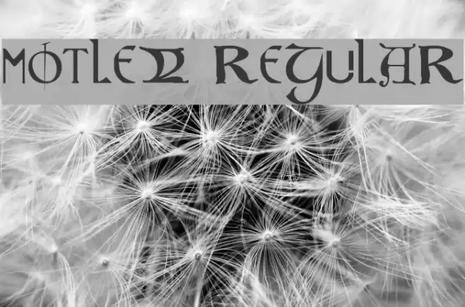 Motley Regular Font examples