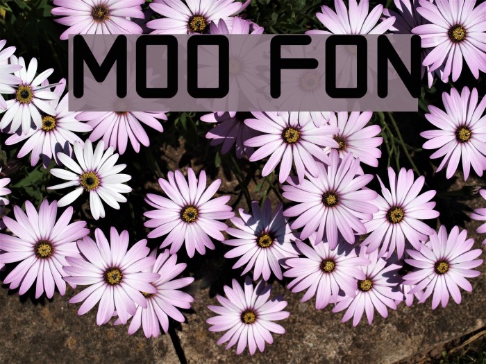 Moto Font examples