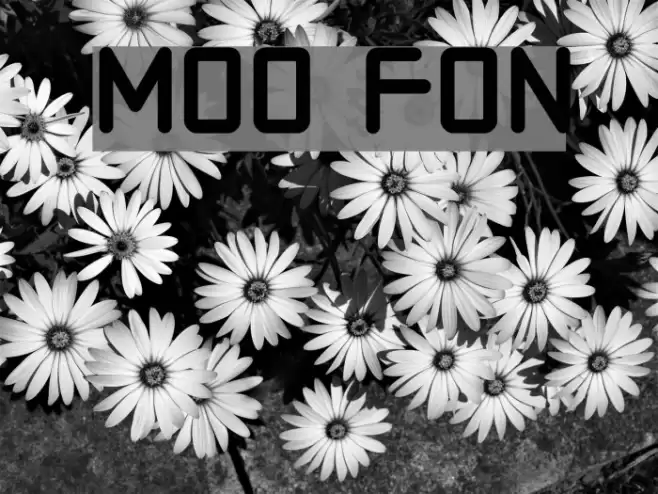 Moto Caratteri examples