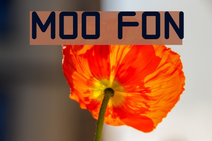 Moto Font examples
