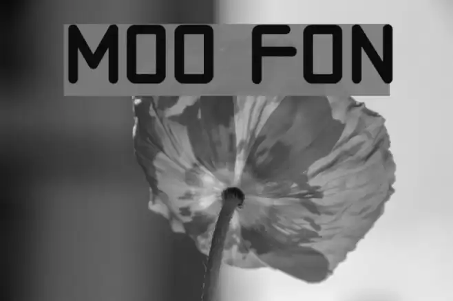 Moto Caratteri examples