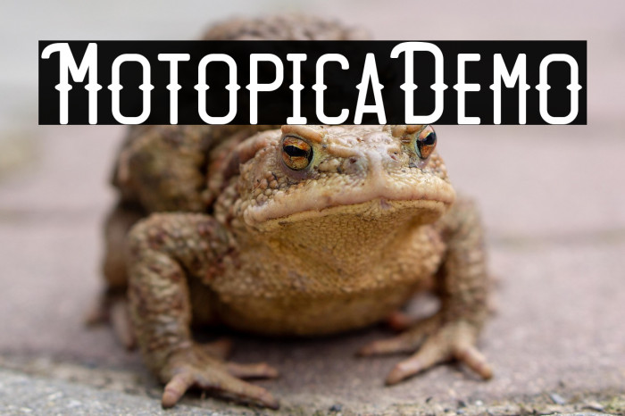 Motopica-Demo Example 2