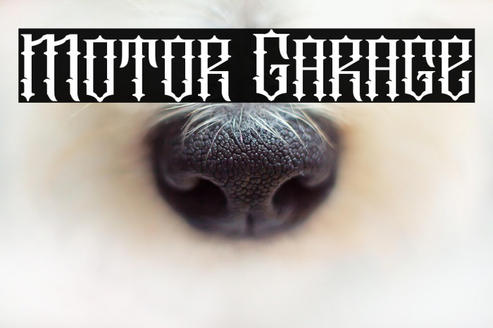 Motor Garage Example 3