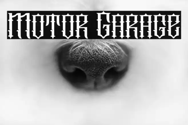 Motor Garage Example 3