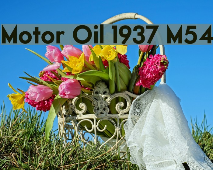 Motor Oil 1937 M54 Font examples