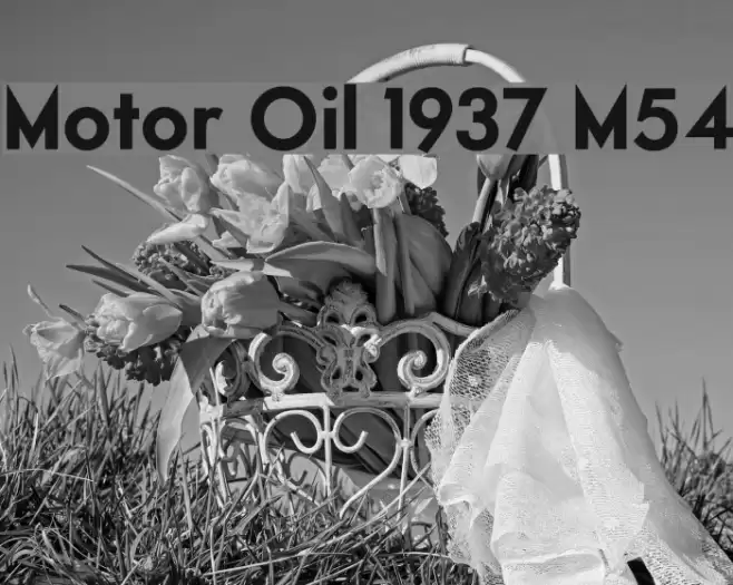 Motor Oil 1937 M54 フォント examples