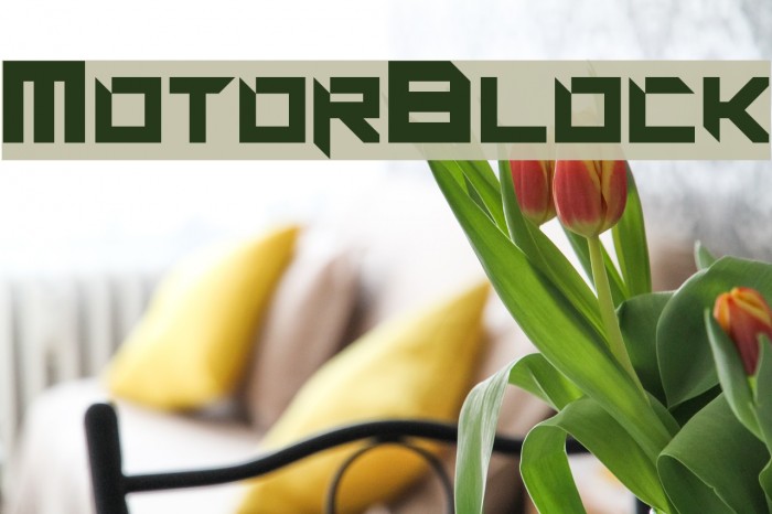 MotorBlock Example 1