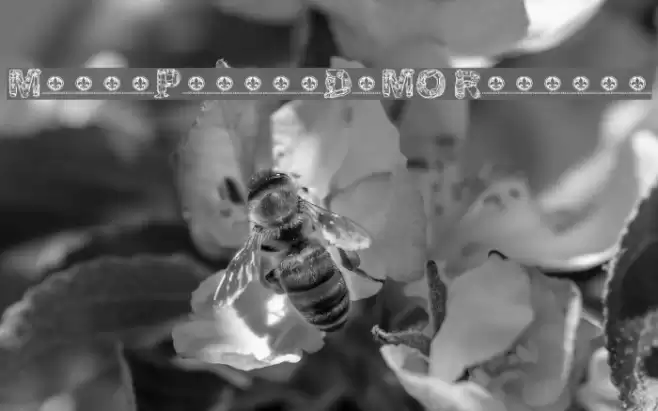 MotorPiecesDEMO Regular Font examples