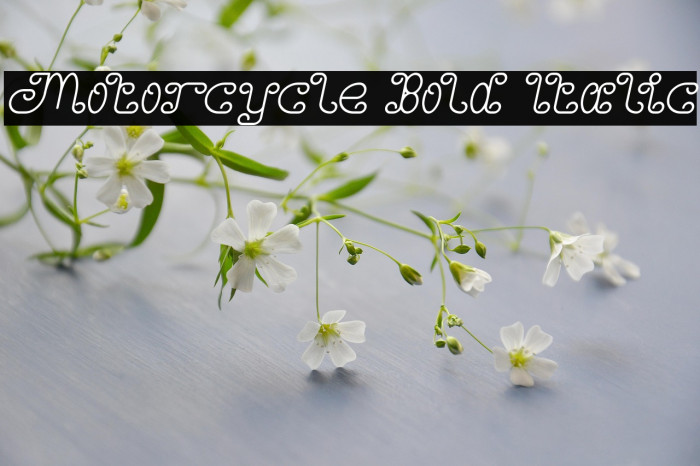 Motorcycle Bold Italic Example 2