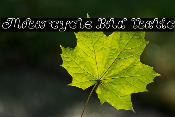 Motorcycle Bold Italic Example 3