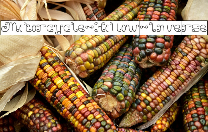 Motorcycle-Hollow-Inverse Example 2