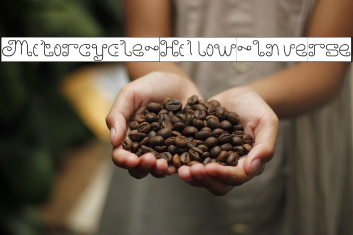 Motorcycle-Hollow-Inverse Example 3