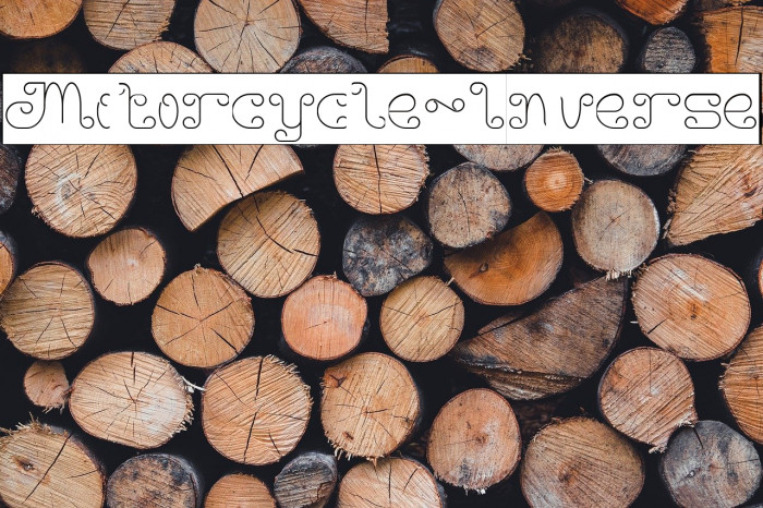 Motorcycle-Inverse Example 1