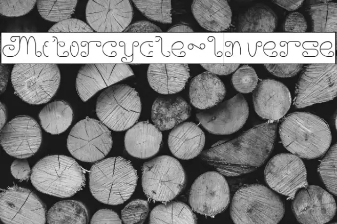 Motorcycle-Inverse Example 1