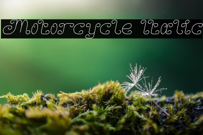 Motorcycle Italic Example 1