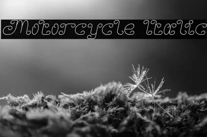 Motorcycle Italic Example 1