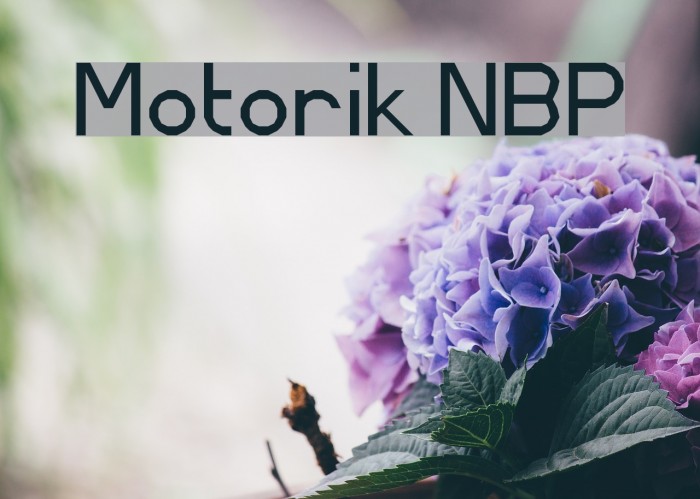 Motorik NBP Font examples