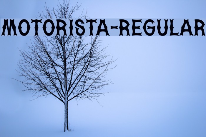 Motorista-Regular Шрифта examples