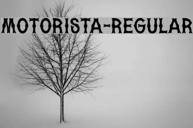 Motorista-Regular Font examples