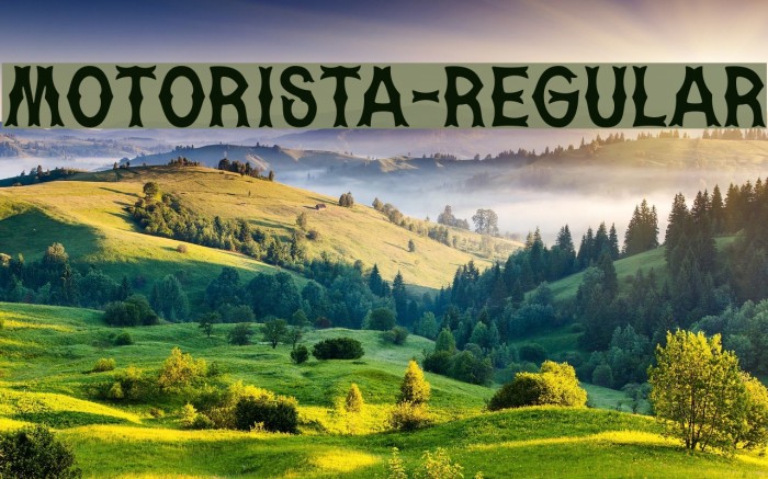 Motorista-Regular Шрифта examples