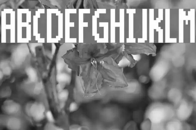 Motorola ScreenType Schriftart examples