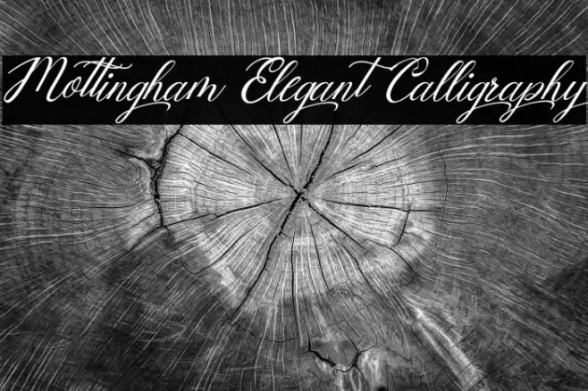 Mottingham Elegant Calligraphy Font examples