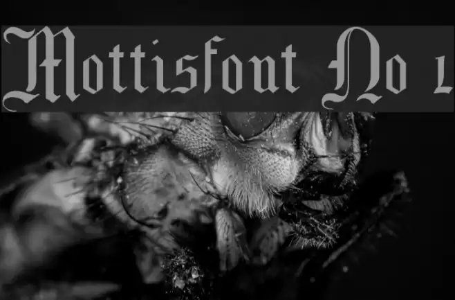 Mottisfont No 1 Font examples