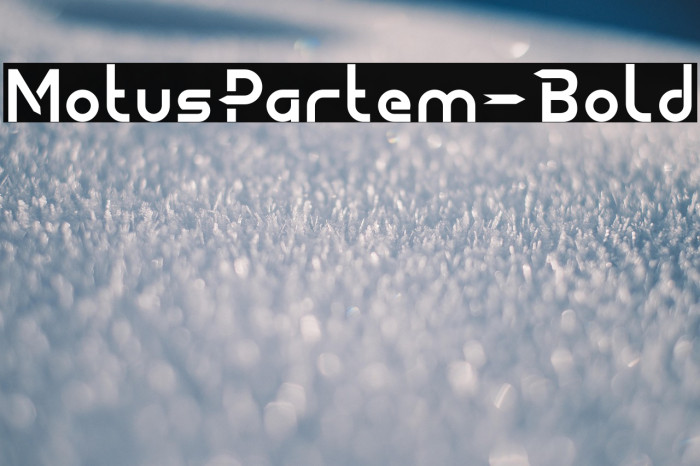 MotusPartem-Bold Example 2