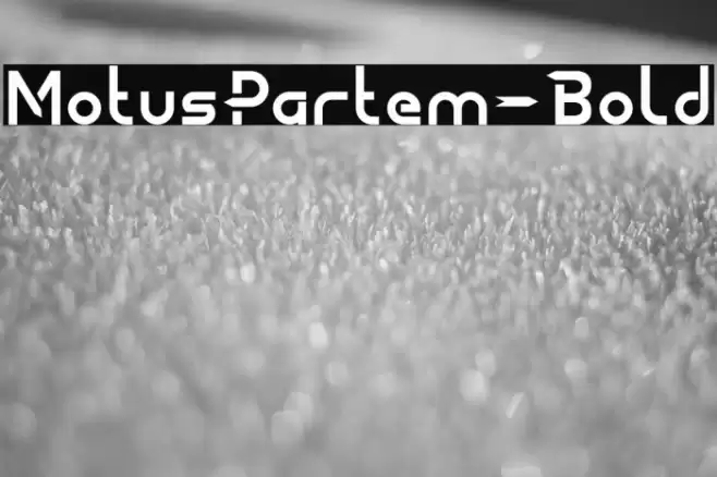 MotusPartem-Bold Font examples