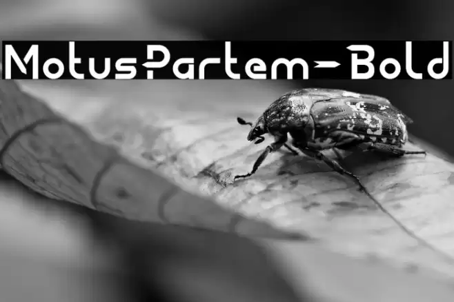MotusPartem-Bold Font examples