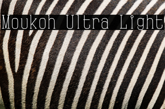 Moukoh Ultra Light Example 1