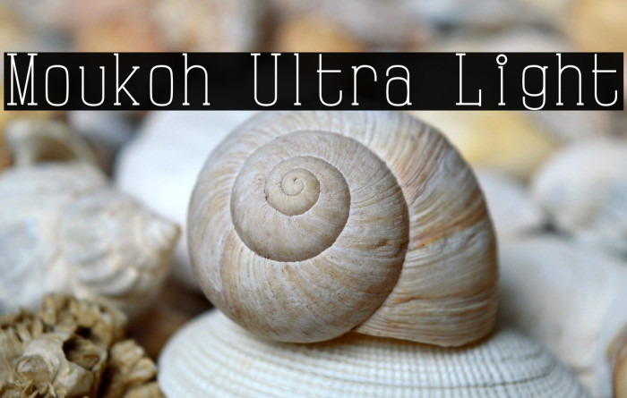 Moukoh Ultra Light Example 2