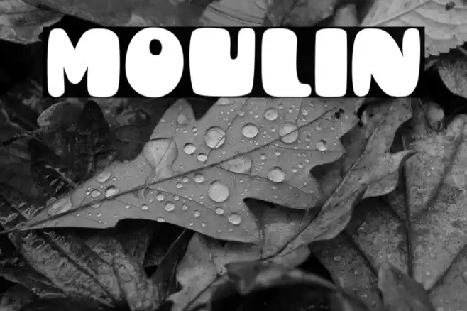 Moulin Example 2