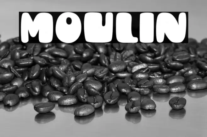 Moulin Example 3