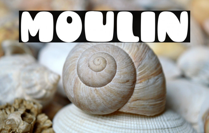 Moulin Example 1
