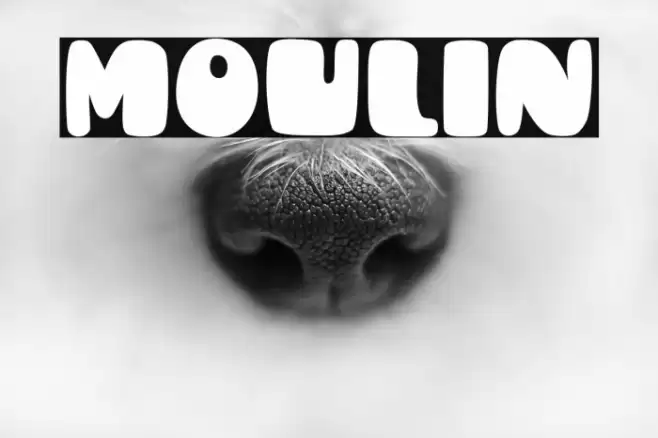 Moulin Font examples