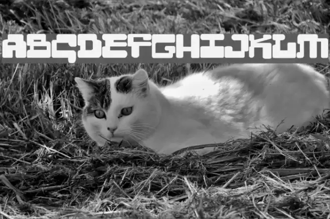 MoultiPass2 Font examples