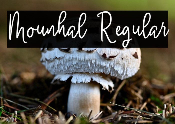 Mounhal Regular Example 2