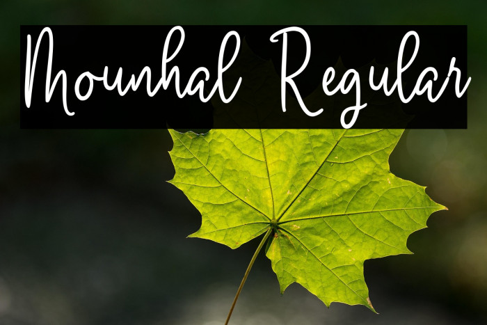 Mounhal Regular Example 3