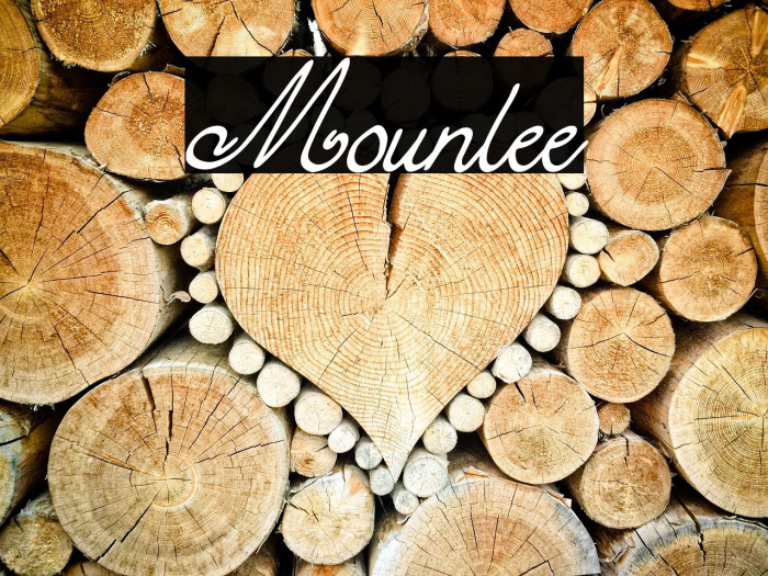 Mounlee Example 1