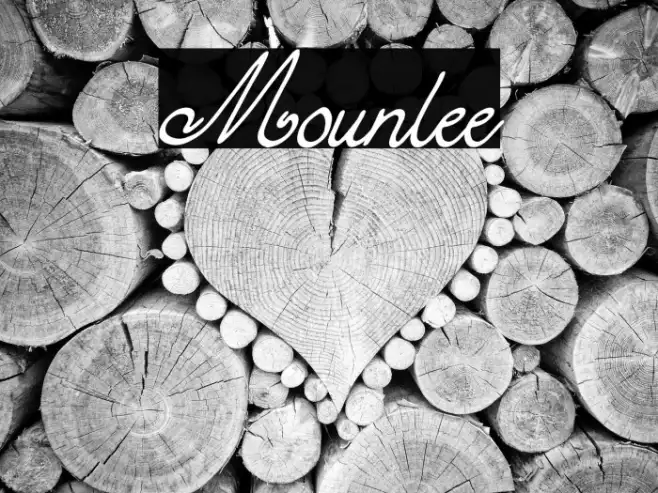 Mounlee Example 1