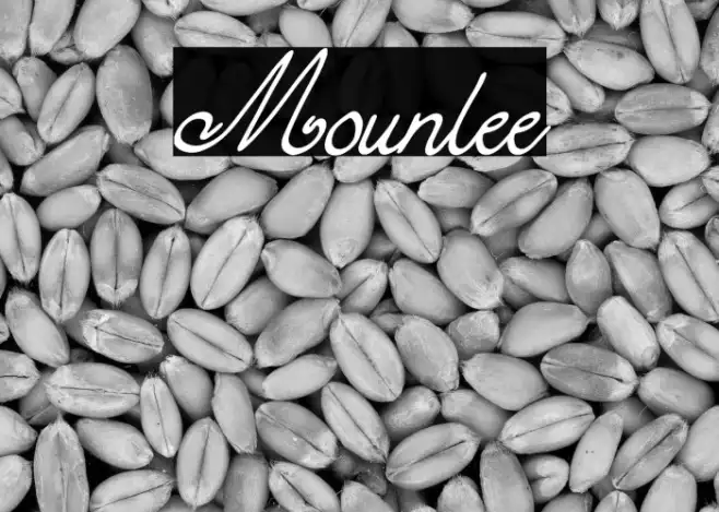 Mounlee Example 2