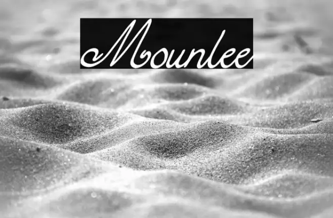 Mounlee Example 3