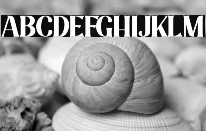 Mount Hills Font examples