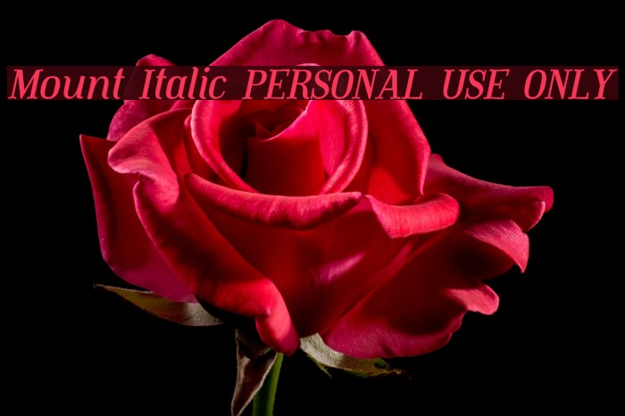 Mount Italic PERSONAL USE ONLY Font examples