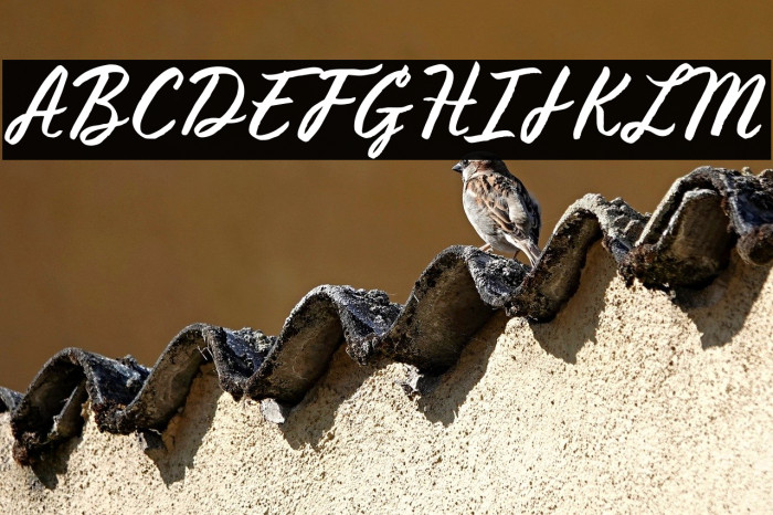 Mount Royal Example 1