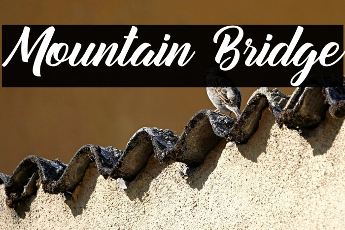 Mountain Bridge Example 3