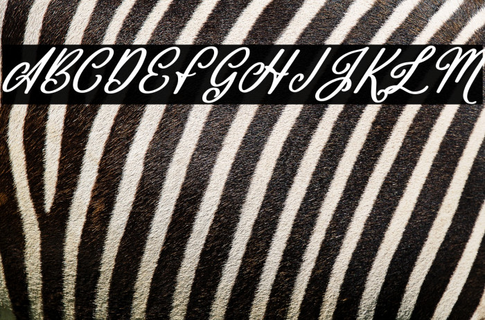 Mountain Brilliant Italic Example 1