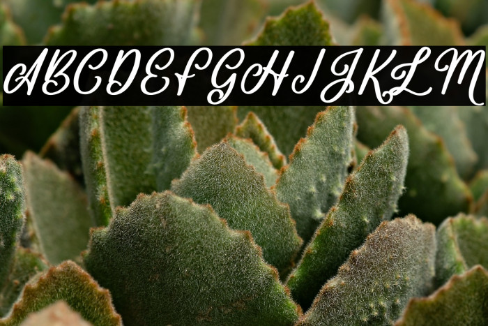 Mountain Brilliant Example 1