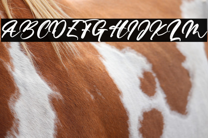 Mountain Hills Example 3